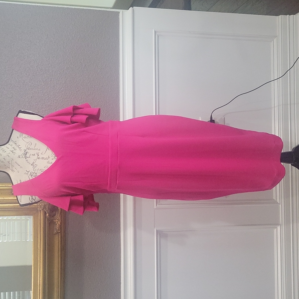 Pink Dress V neckline and back zipper by Nicole Miller size Large NWT